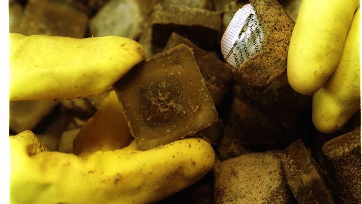 Szczepionka na wściekliznę - zdjęcie poglądowe