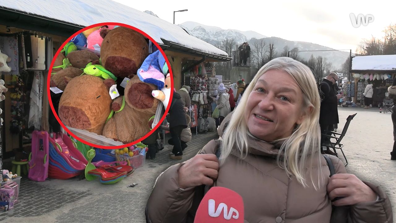 Już nie kapibara. Na stoiskach w Zakopanem furorę robi co innego