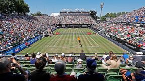 Uważnie śledzisz turnieje na trawie? Udowodnij!
