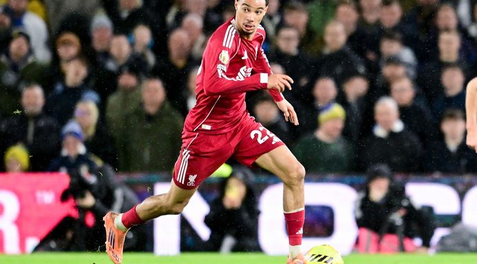 Jej Wysokość Premier League