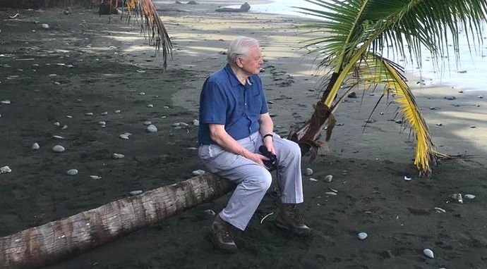 David Attenborough: życie w kolorze: kulisy