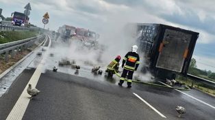 Kock: Pożar ciężarówki z drobiem. Dramatyczna akcja na ekspresówce