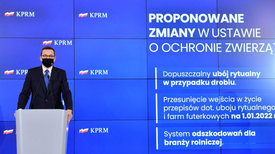 Senat. "Piątka dla zwierząt" bez poparcia komisji