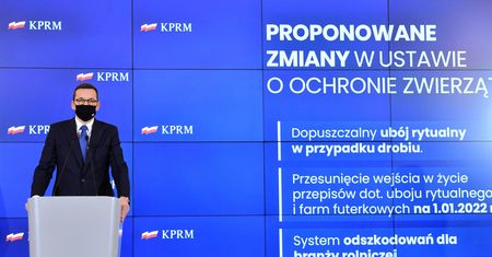 Senat. "Piątka dla zwierząt" bez poparcia komisji