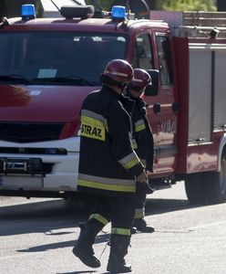 Gliwice. Alkohol, wybuchowa instalacja i postępowanie policji