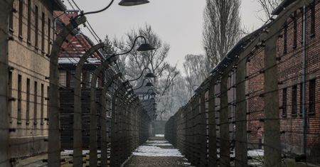 Trump ogłosił skład delegacji do Auschwitz. Vance nie przyjedzie