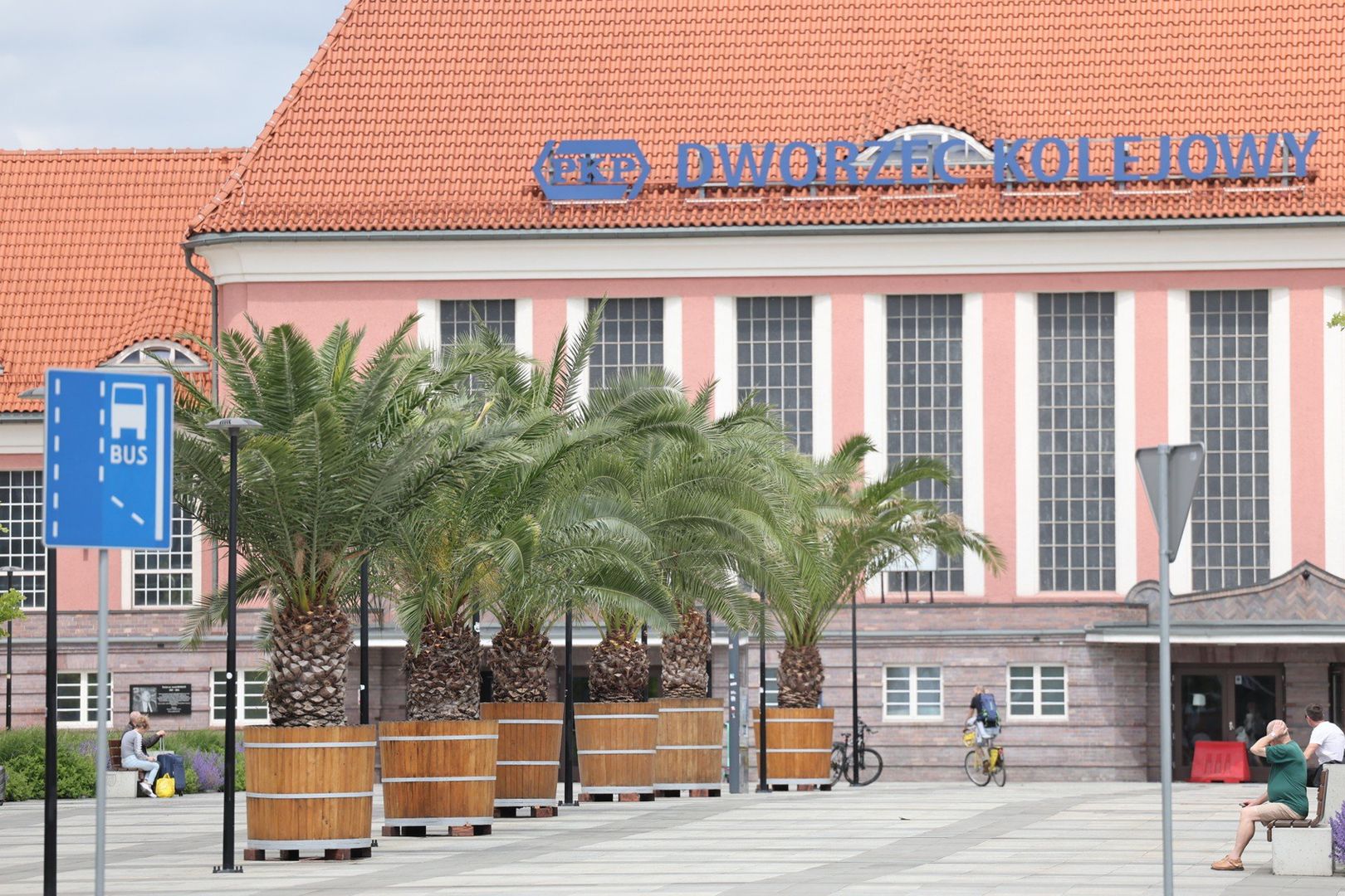 Palmy na ulicach Gliwic znów robią show. Tropiki bez samolotu? Wakacje 2025 możesz spędzić na Śląsku
