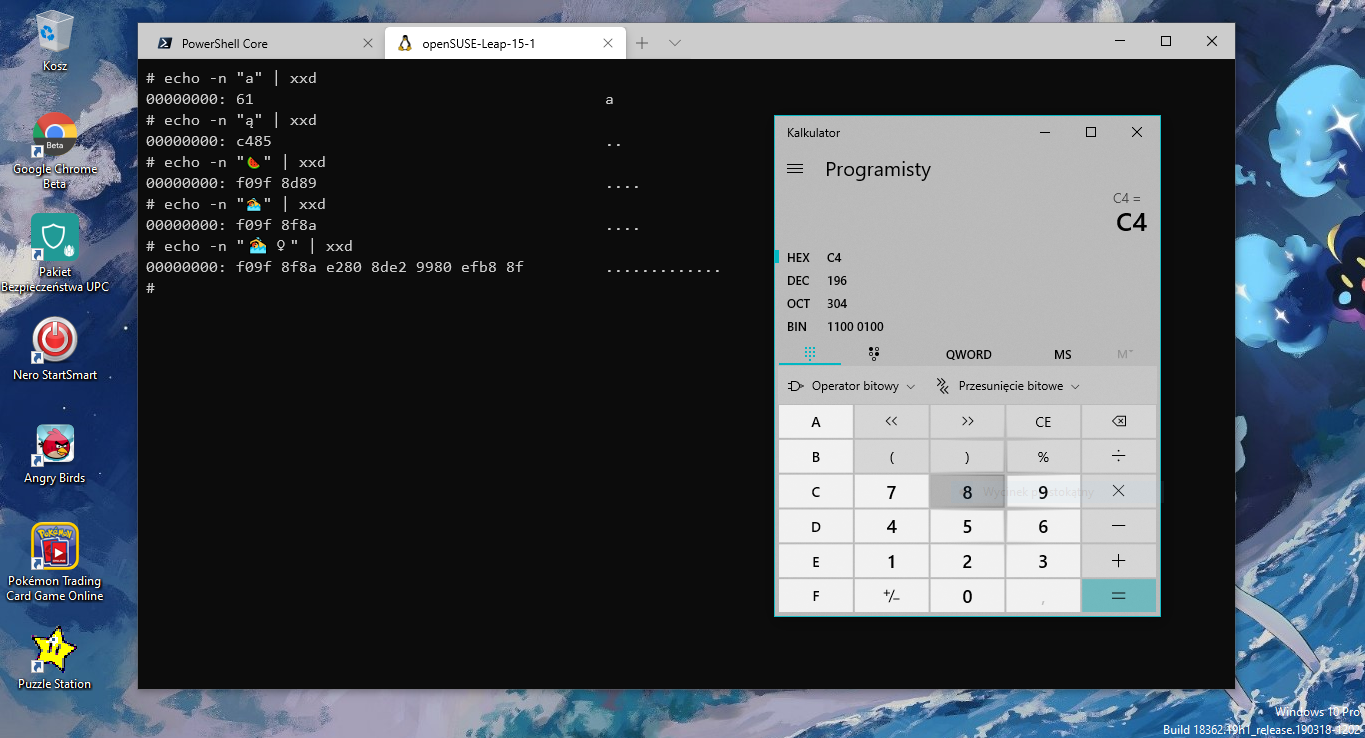 Bajt C4 w "ą" zaczyna się od 110. (fot. Kamil Dudek)