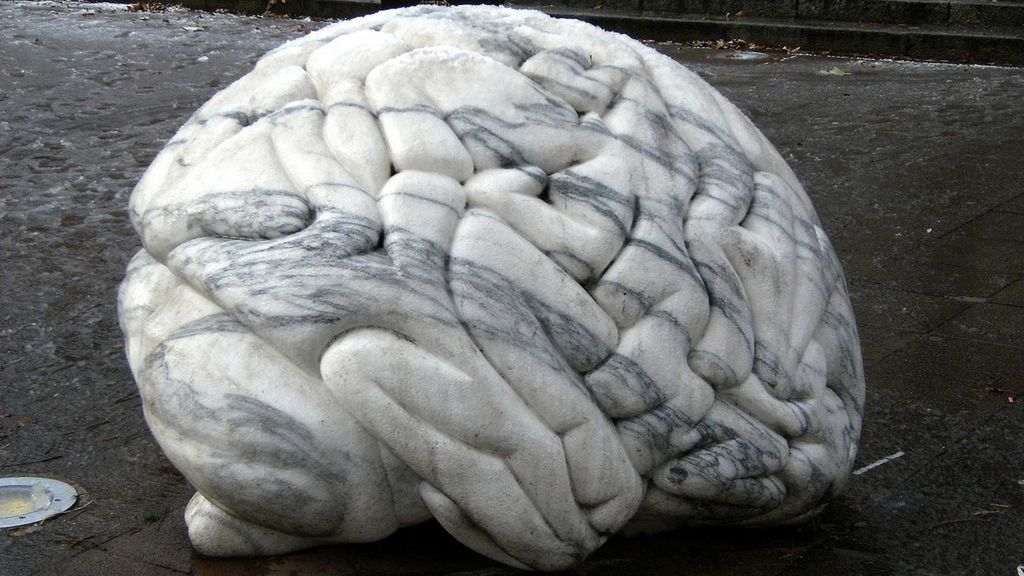 Implanty w mózgu przywrócą utraconą pamięć 1