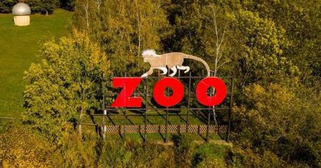 Sensacja w Płocku. Urodziło się jedno z najrzadszych zwierząt świata