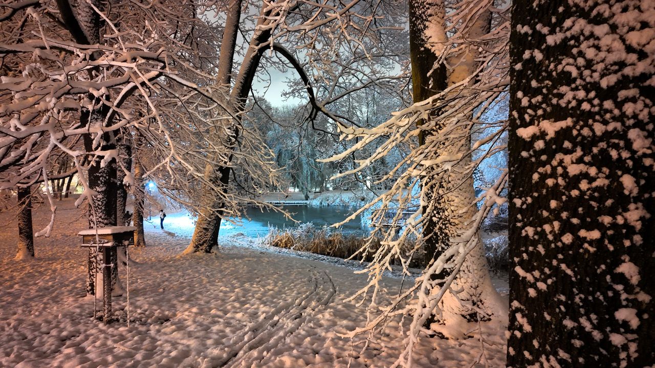 Pierwszy śnieg w Parku Staszica w Częstochowie, 26 listopada 202