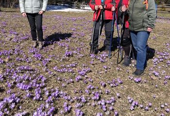 Tłumy w Tatrach. Turyści znowu to zrobili