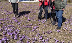 Tłumy w Tatrach. Turyści znowu to zrobili