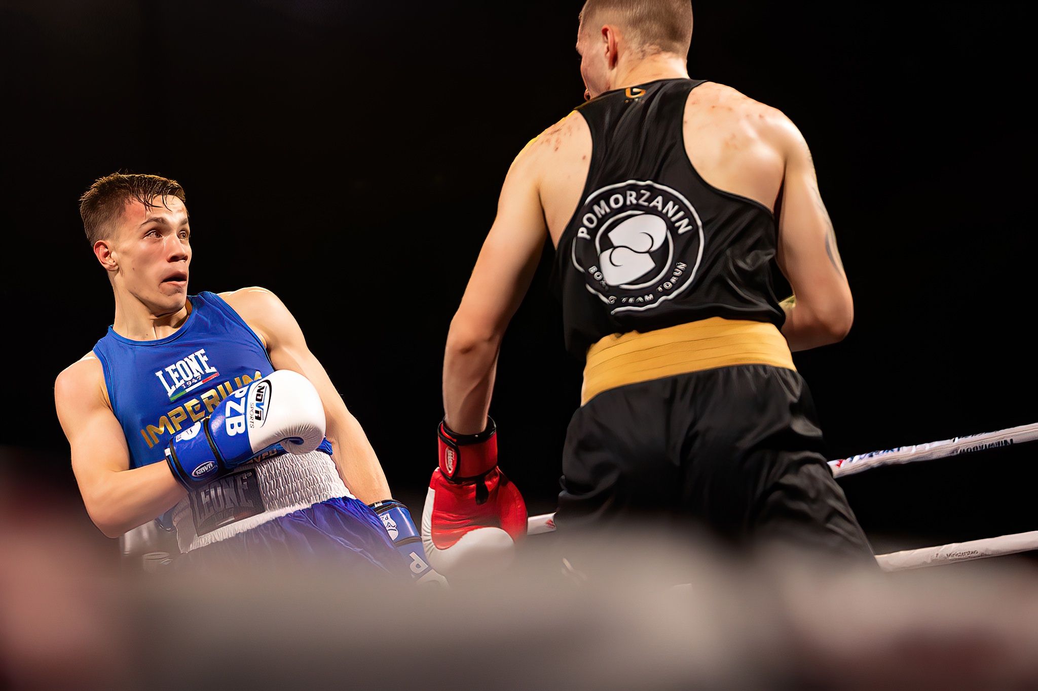 Polska Liga Boksu Pomorzanin Boxing Team - Imperium Wałbrzych