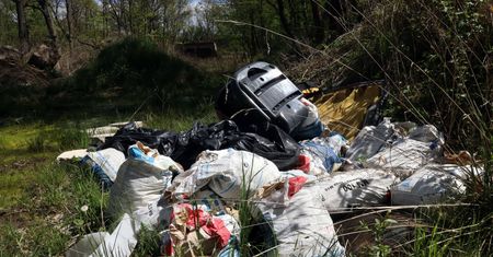 Zostawił śmieci w lesie, spotkała go kara. Nagranie z Tiktoka podbija sieć