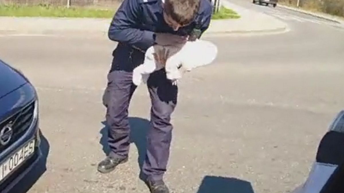 Zdjęcie ilustracyjne. 