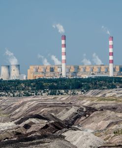 Polska strategia energetyczna? "Powinniśmy zostać przy węglu"