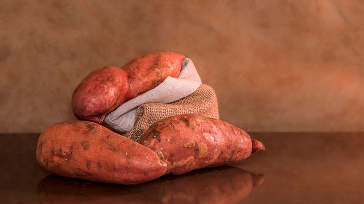 Yam to roślina należąca do rodziny pochrzynowatych