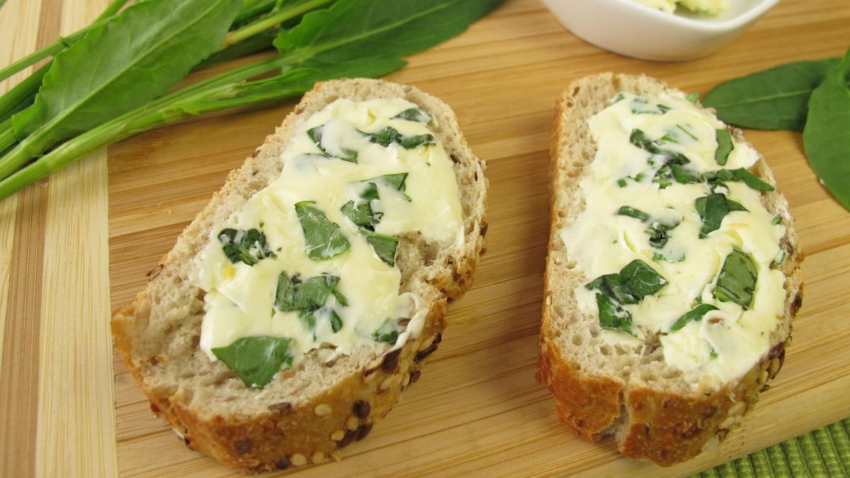 Szczaw – właściwości, zastosowanie, przetwory, przepisy 