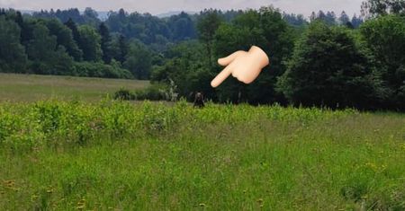Stał na tylnych łapach. Bieszczadzcy leśnicy musieli się wycofać
