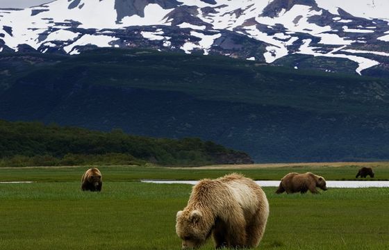 Fokus TV zdystansował konkurencję w 2018 roku (dane kanałów dokumentalnych)