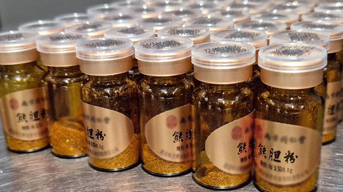 Pasażerka z Chin przewoziła żółć niedźwiedzia. Grozi jej surowa kara