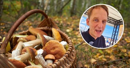 Jak obrobić świeże grzyby? Pascal Brodnicki ma patent na 20 kg zbioru
