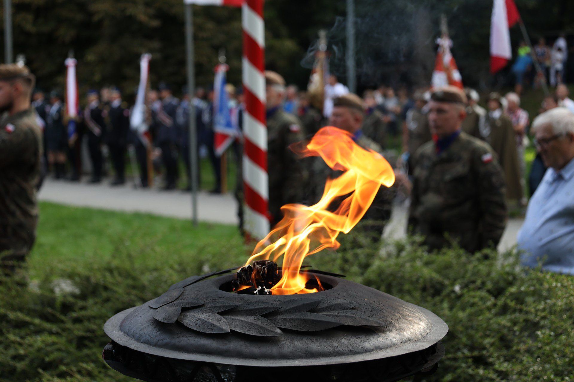 81. rocznica wybuchu Powstania Warszawskiego. W Rzeszowie przedstawiciele kombatantów, władz samorządowych i wojska złożyli kwiaty podczas apelu przy Pomniku Żołnierzy Armii Krajowej. 1.08.2025 Rzeszów