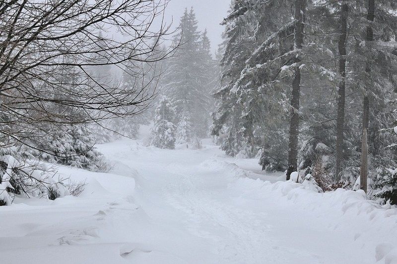 Nad woj. lubelskiego nadciągają śnieżyce. Miejscami spadnie ponad 30 cm śniegu!