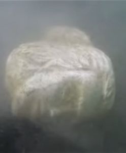 Tajemnicze odkrycie na dnie jeziora. Skarb sprzed nawet dwóch tysięcy lat