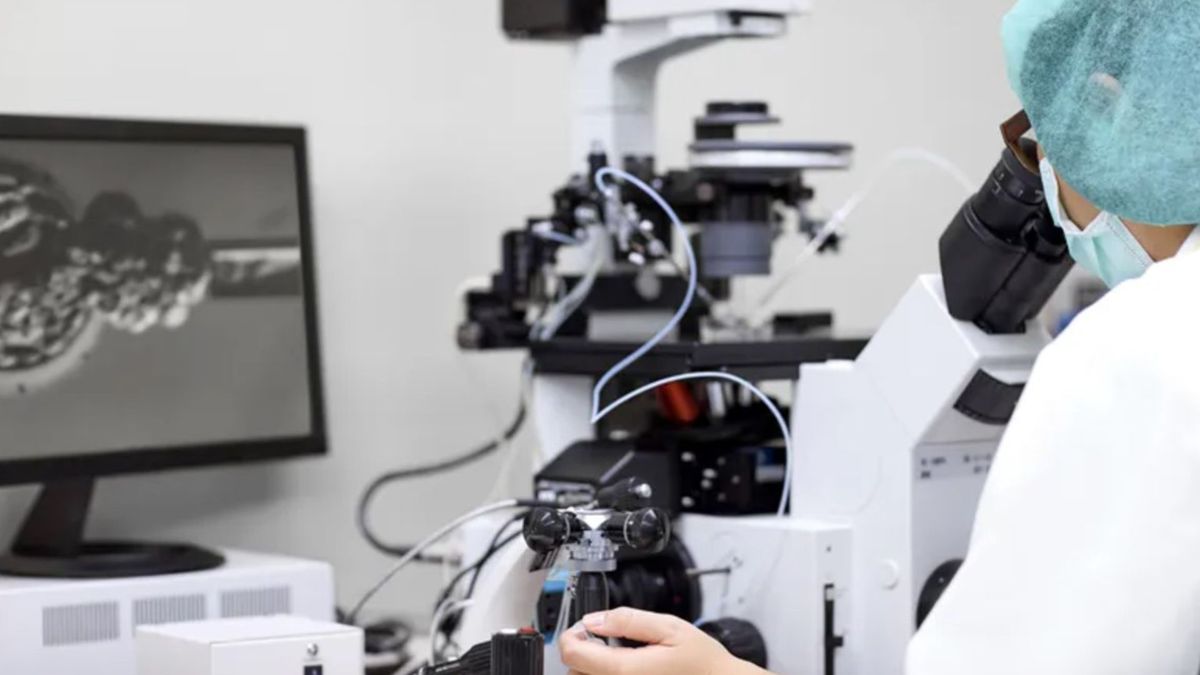 Dania. Darmowe in vitro dla par starających się o drugie dziecko