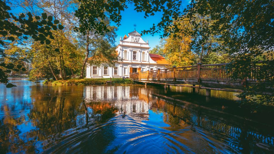 Zwierzyniec/ ilustracja