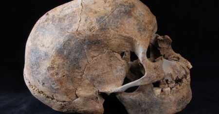 Najstarszy konflikt rasowy. Nowe badania prehistorycznych kości z Sudanu zakasują