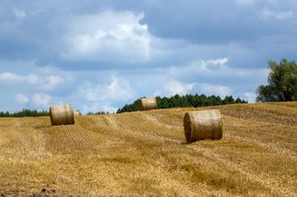 Nowe nabory z KPO. Ponad pół miliarda złotych na wsparcie m.in. rolnictwa