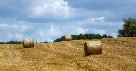 Nowe nabory z KPO. Ponad pół miliarda złotych na wsparcie m.in. rolnictwa