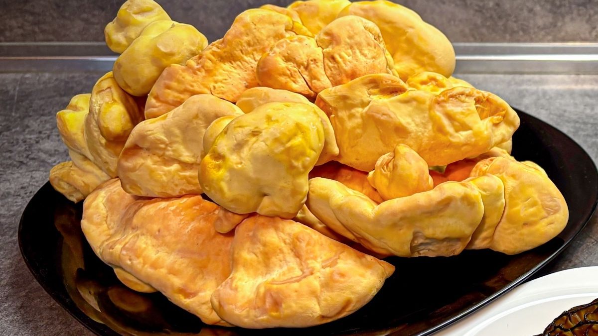 Żółciak siarkowy to grzyb, który smakuje jak kurczak