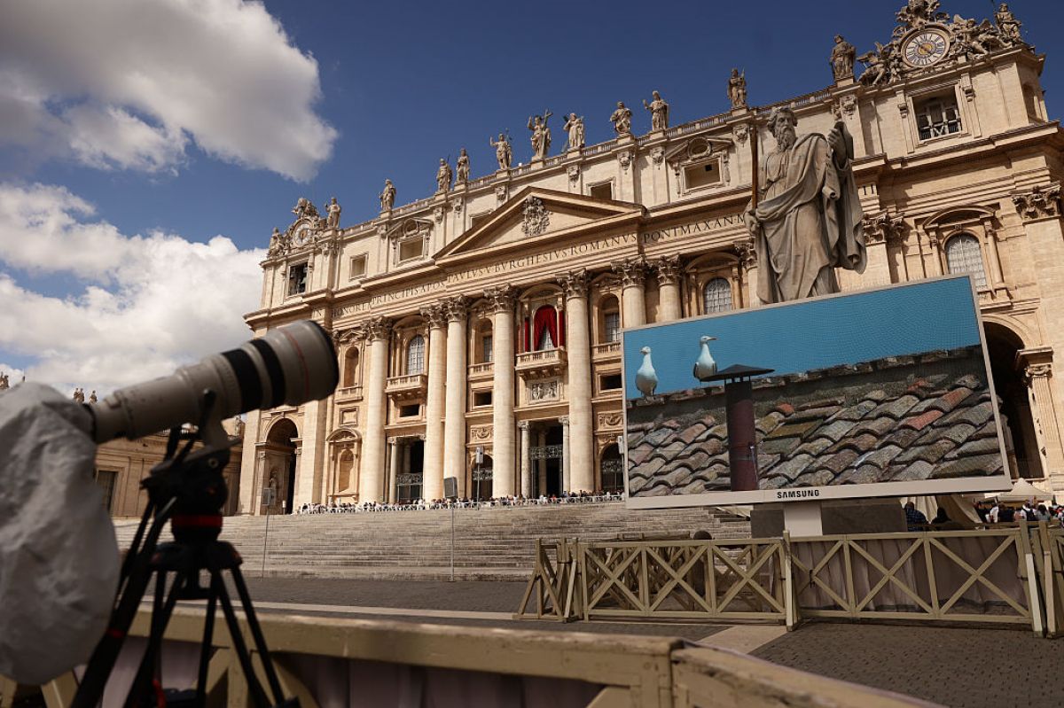 „Habemus Möwe“: Überraschender Star beim Papst-Konklave im Vatikan