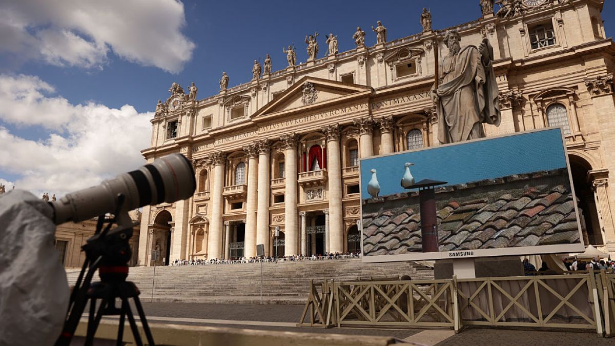 Mewa przykuła uwagę milionów widzów i internautów