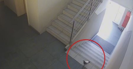 Niecodzienna wizyta na posterunku. Podszedł do dyżurnego i dostał pomoc