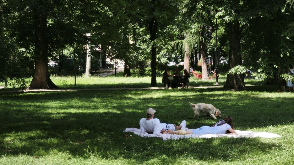 Krakowianie uciekli przed upałem do Parku Krakowskiego!