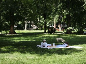Upały w Krakowie. Mieszkańcy szukali ochłody w cieniu drzew. Jutro jeszcze cieplej, ale z burzami