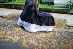 Przygotuj motocykl do zimy. Zobacz, co warto kupić i jakie są ceny