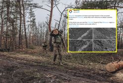 Rabują ukraińskie lasy. Widać to na zdjęciach satelitarnych