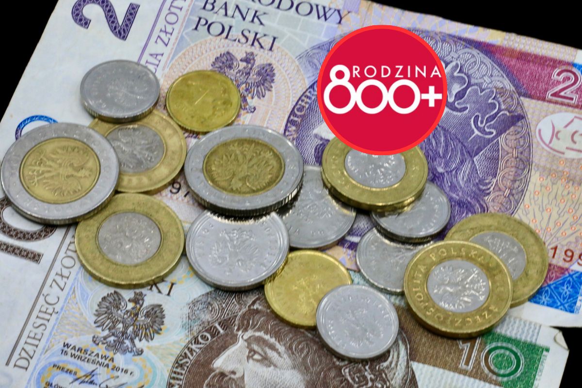 Zmiany w 800 plus. ZUS odrzucił tysiące wniosków