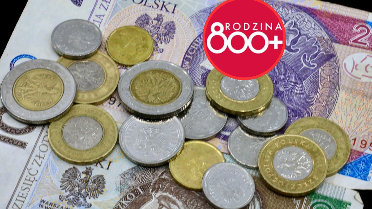 Zmiany w 800 plus