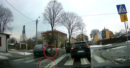 Kierowca forda uderzył w tył renault. Po chwili ominął auto, potrącił kobietę i odjechał