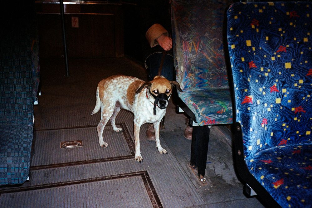 Czy można pokazać portret społeczeństwa fotografując w jednej linii tramwajowej w Łodzi? 4