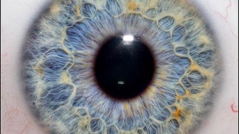 Czym staje się Google? 1