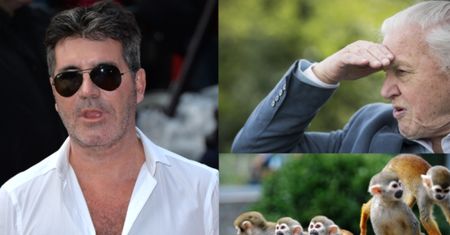 Więcej młodych Brytyjczyków ogląda "Planetę Ziemia" niż "X Factor"!