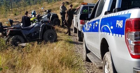 Bielsko-Biała. Przepadł podczas grzybobrania, wszystkie służby na nogach
